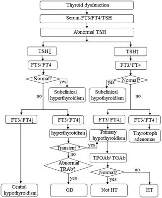 Immune Checkpoint Inhibitors-Related Thyroid Dysfunction: Epidemiology, Clinical Presentation, Possible Pathogenesis, and Management